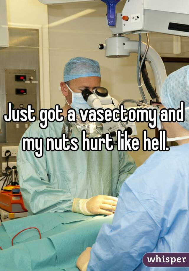 Just got a vasectomy and my nuts hurt like hell.