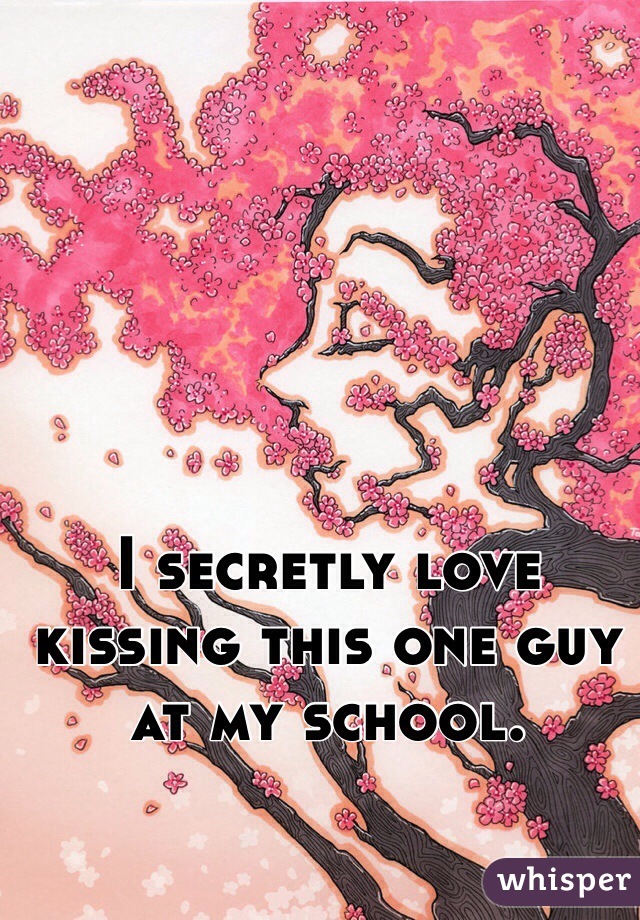 I secretly love kissing this one guy at my school. 