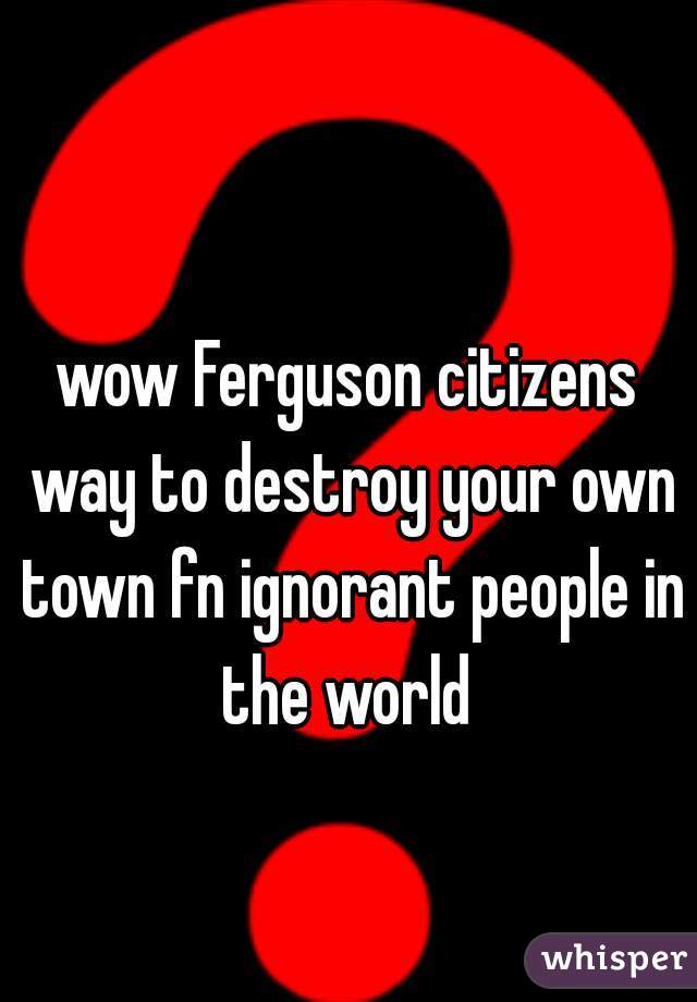 wow Ferguson citizens way to destroy your own town fn ignorant people in the world 