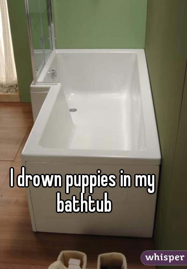 I drown puppies in my bathtub