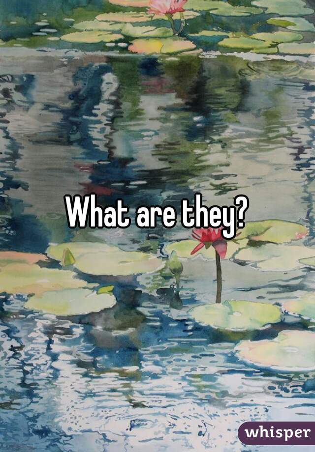 What are they?