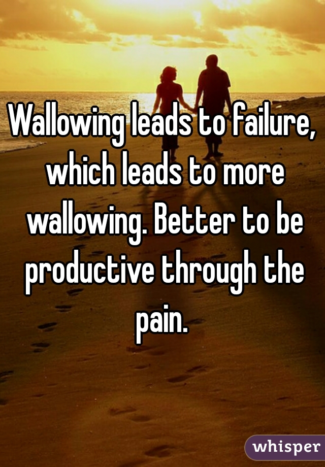 Wallowing leads to failure, which leads to more wallowing. Better to be productive through the pain. 