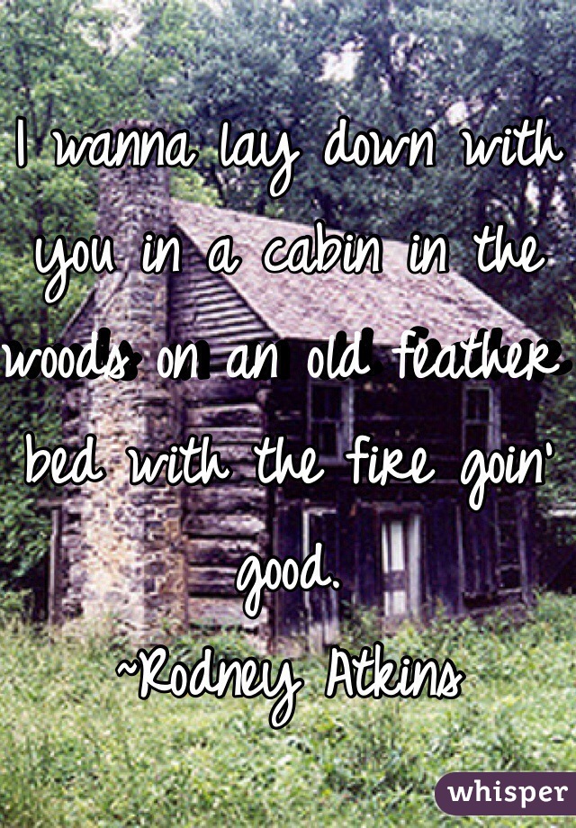 I wanna lay down with you in a cabin in the woods on an old feather bed with the fire goin' good.
~Rodney Atkins