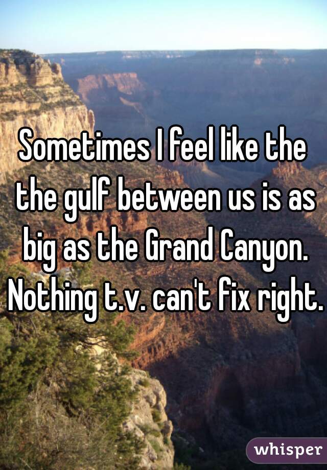 Sometimes I feel like the the gulf between us is as big as the Grand Canyon. Nothing t.v. can't fix right.