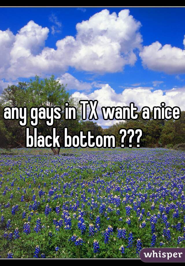 any gays in TX want a nice black bottom ???     