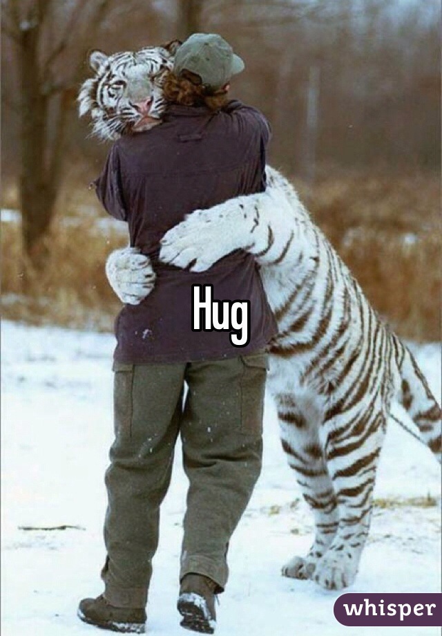 Hug
