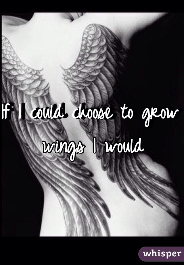 If I could choose to grow wings I would 