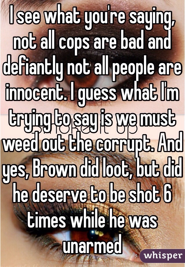 I see what you're saying, not all cops are bad and defiantly not all people are innocent. I guess what I'm trying to say is we must weed out the corrupt. And yes, Brown did loot, but did he deserve to be shot 6 times while he was unarmed 