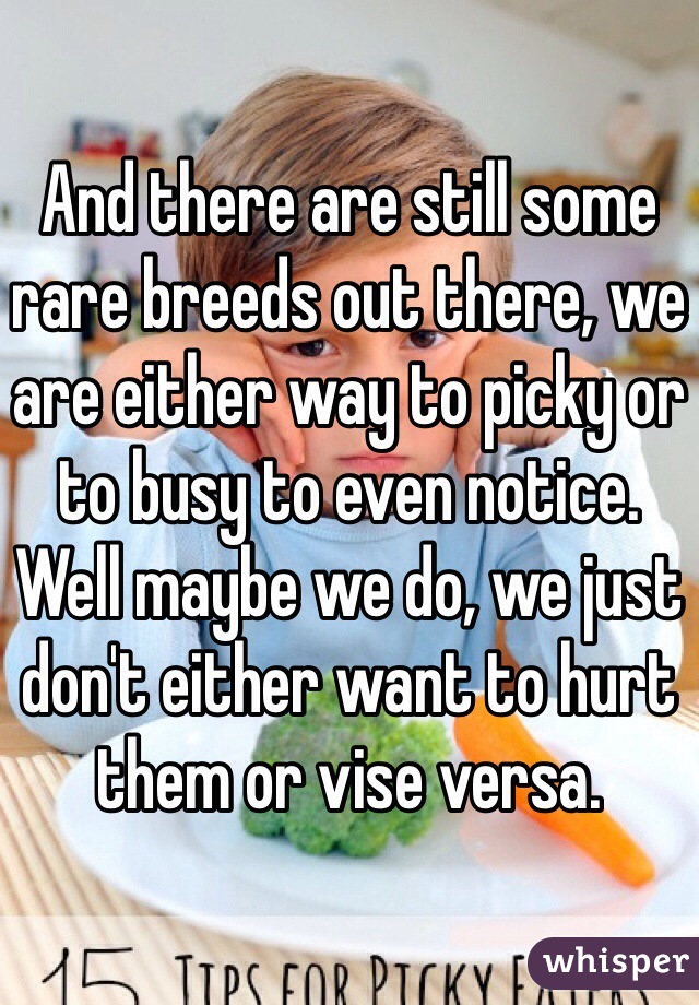 And there are still some rare breeds out there, we are either way to picky or to busy to even notice. Well maybe we do, we just don't either want to hurt them or vise versa. 