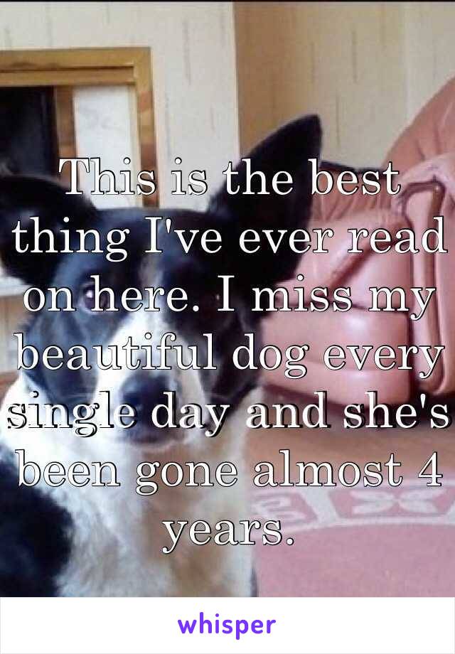 This is the best thing I've ever read on here. I miss my beautiful dog every single day and she's been gone almost 4 years. 
