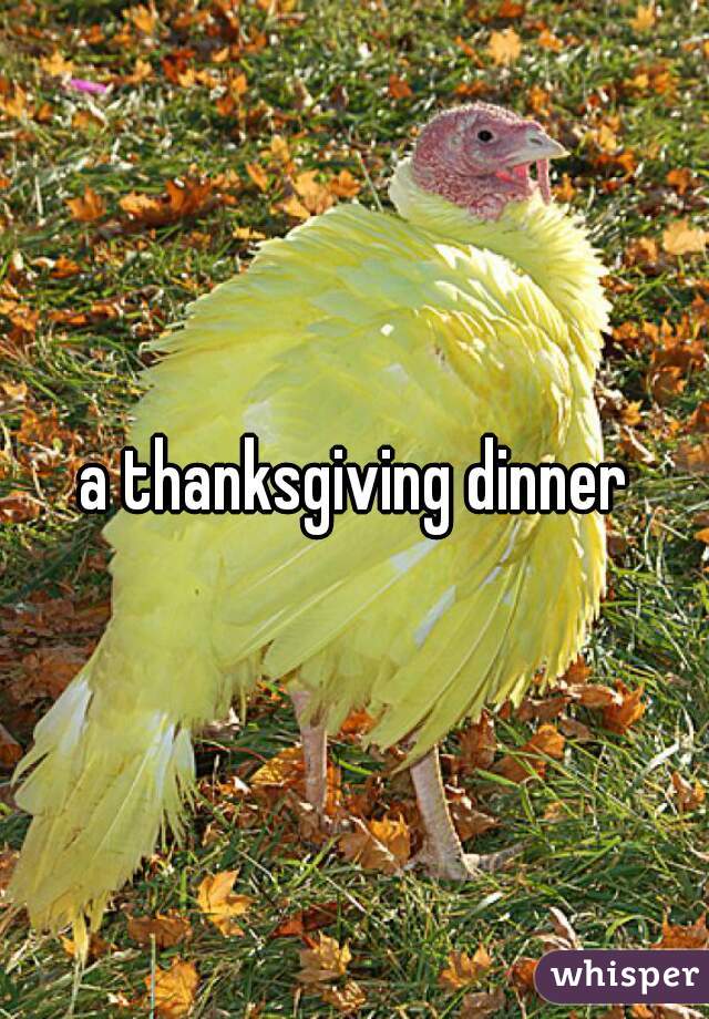 a thanksgiving dinner