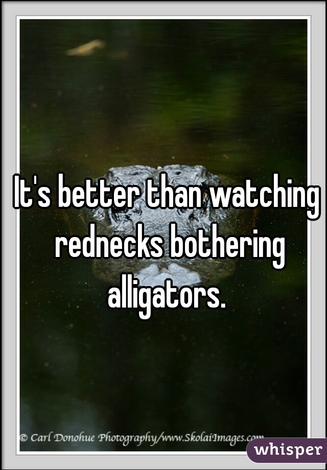 It's better than watching rednecks bothering alligators. 