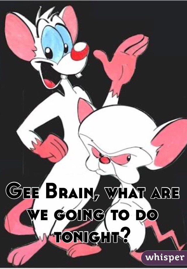 Gee Brain, what are we going to do tonight? 
