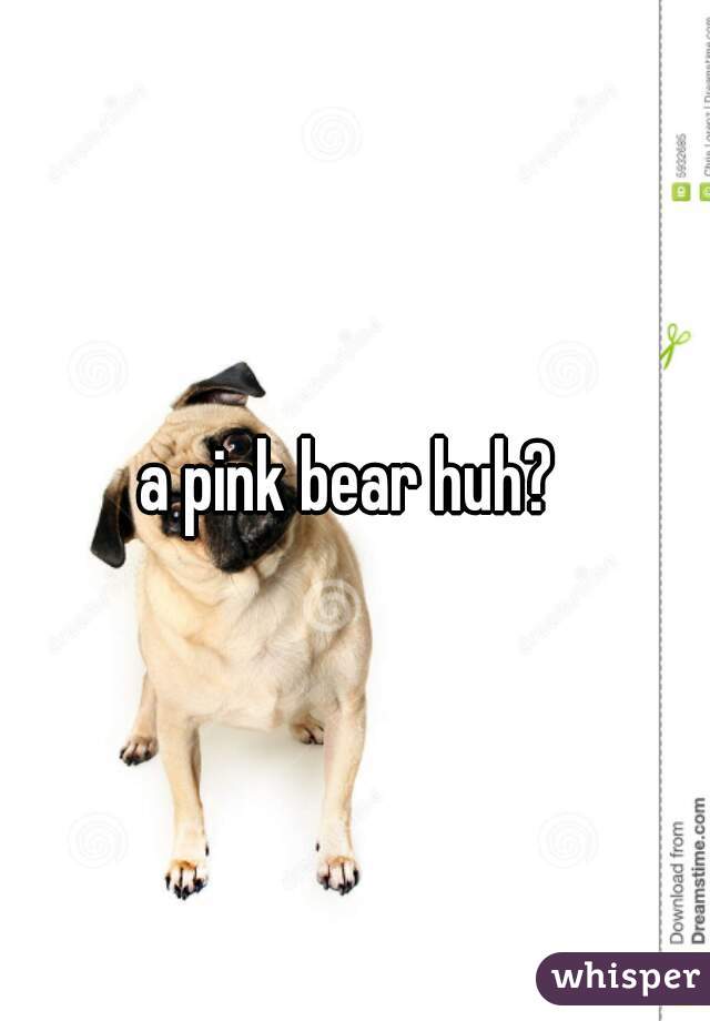 a pink bear huh? 