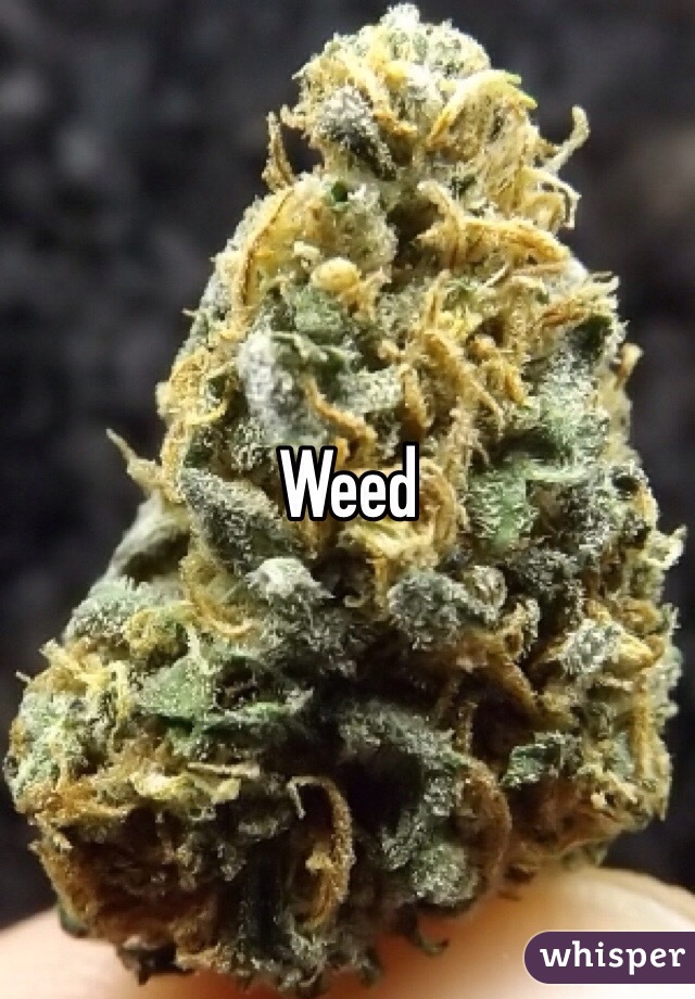 Weed