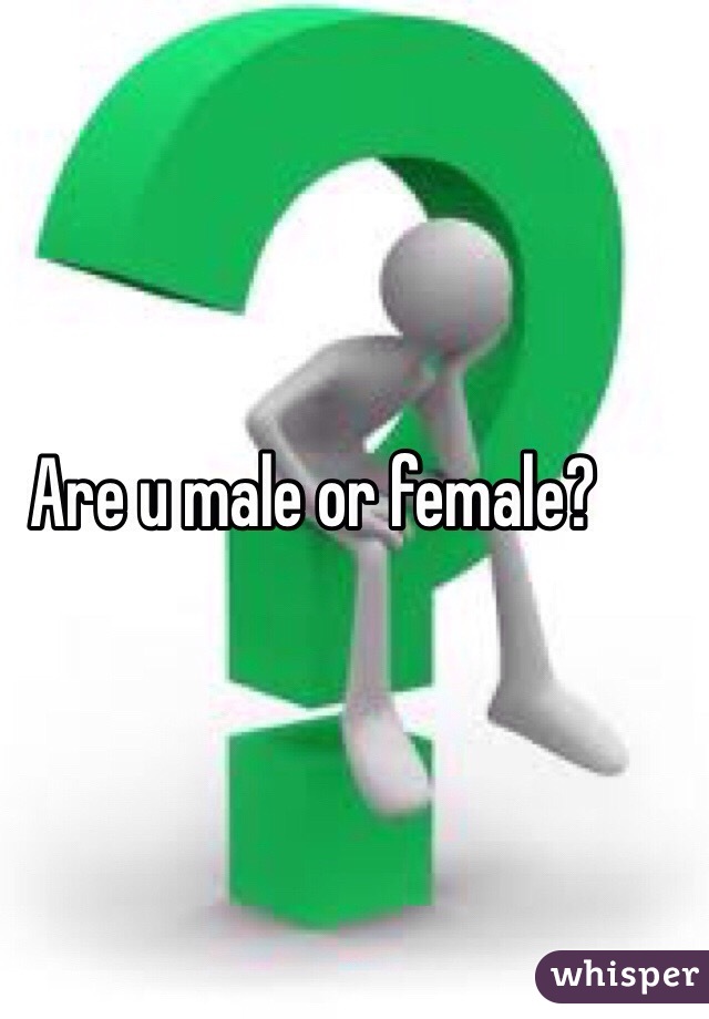 Are u male or female? 