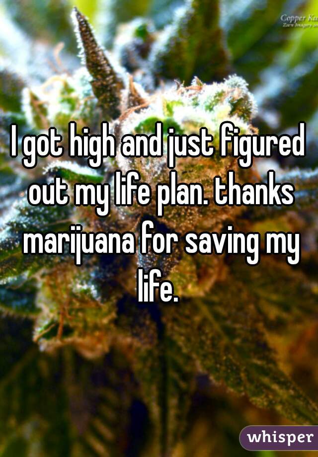 I got high and just figured out my life plan. thanks marijuana for saving my life. 