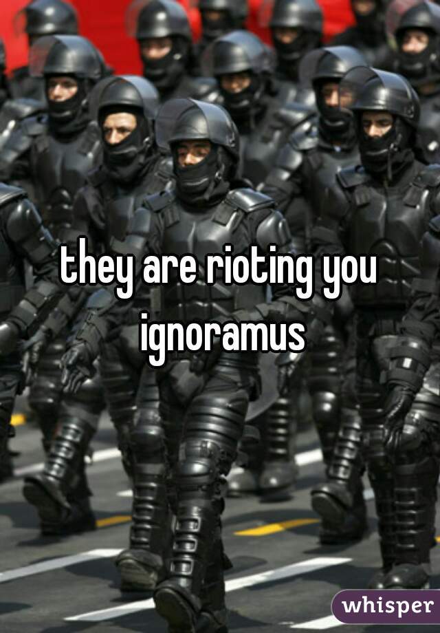 they are rioting you ignoramus