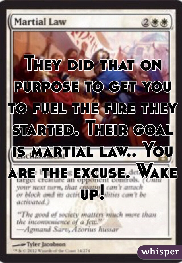 They did that on purpose to get you to fuel the fire they started. Their goal is martial law.. You are the excuse. Wake up! 