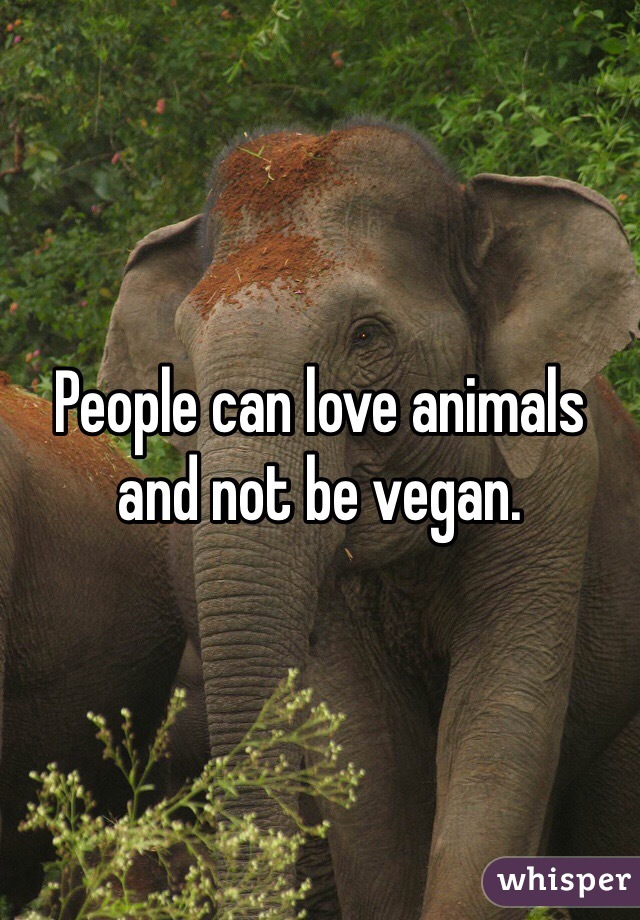 People can love animals and not be vegan.