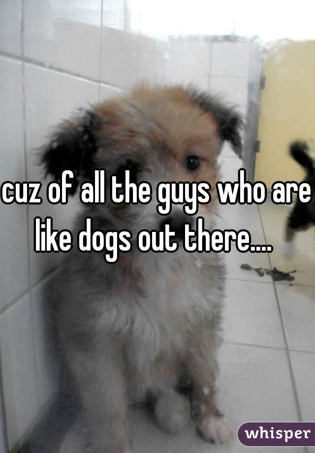 cuz of all the guys who are like dogs out there....  