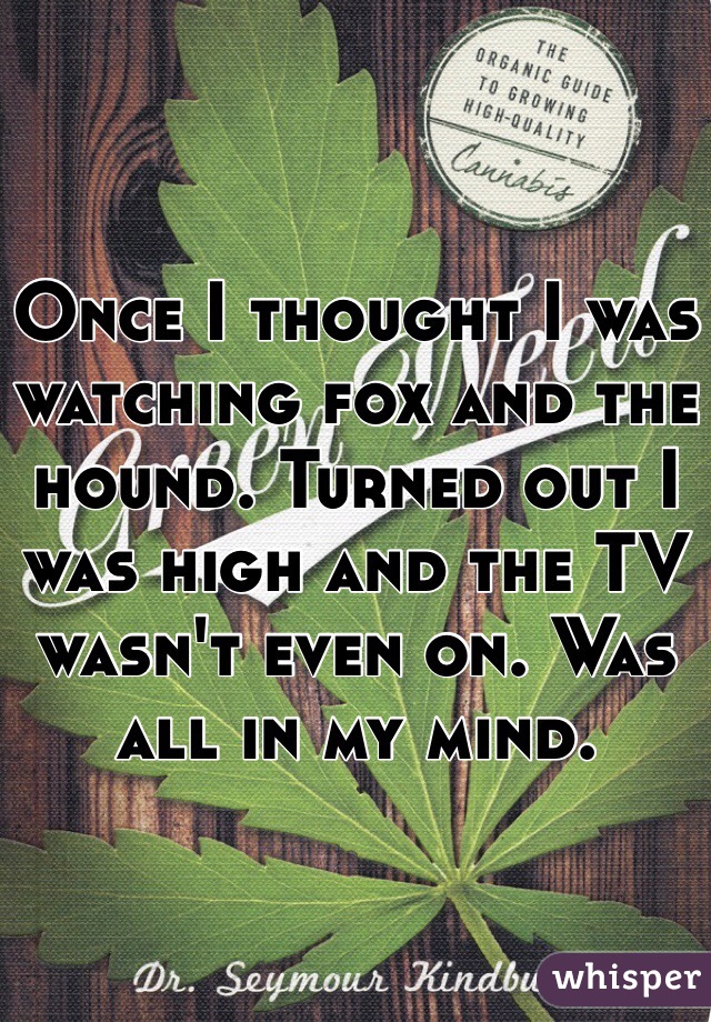 Once I thought I was watching fox and the hound. Turned out I was high and the TV wasn't even on. Was all in my mind. 