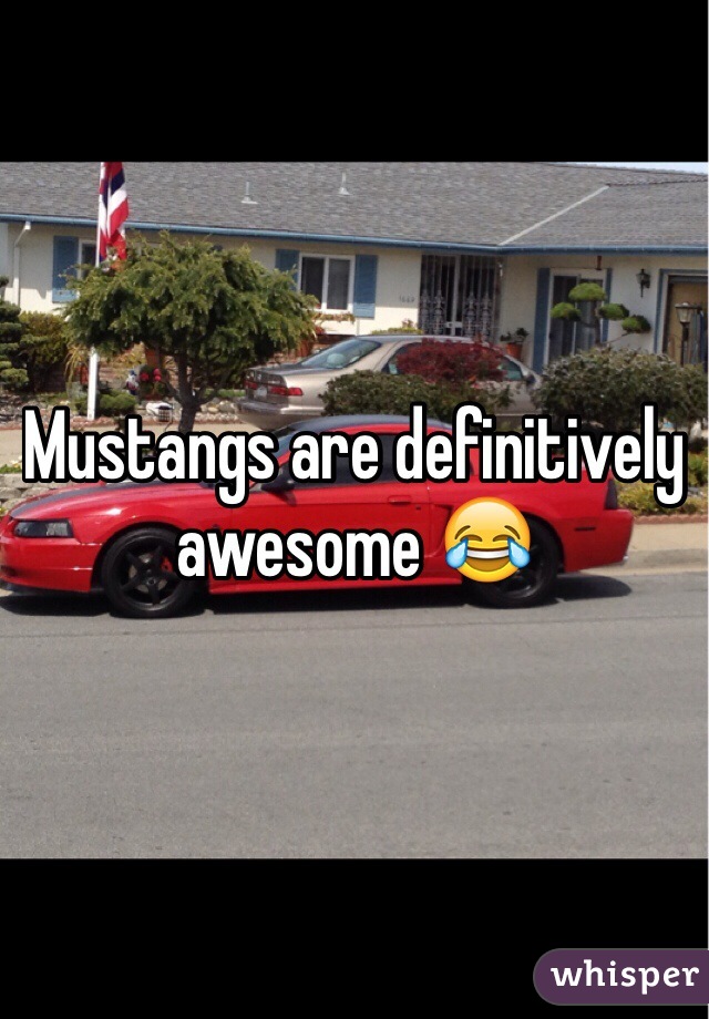 Mustangs are definitively awesome 😂