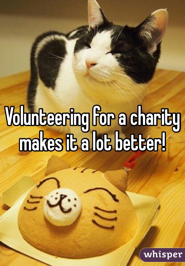 Volunteering for a charity makes it a lot better!