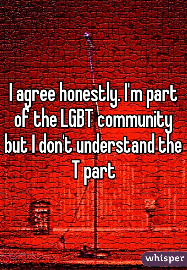 I agree honestly. I'm part of the LGBT community but I don't understand the T part