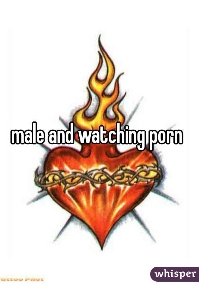 male and watching porn 