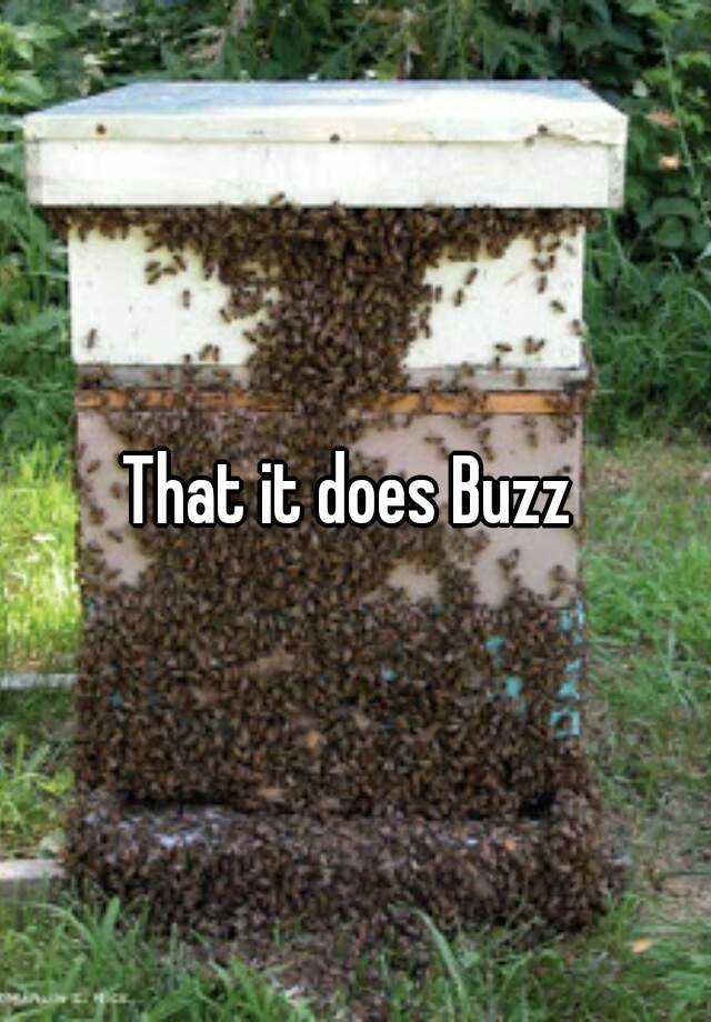 that-it-does-buzz