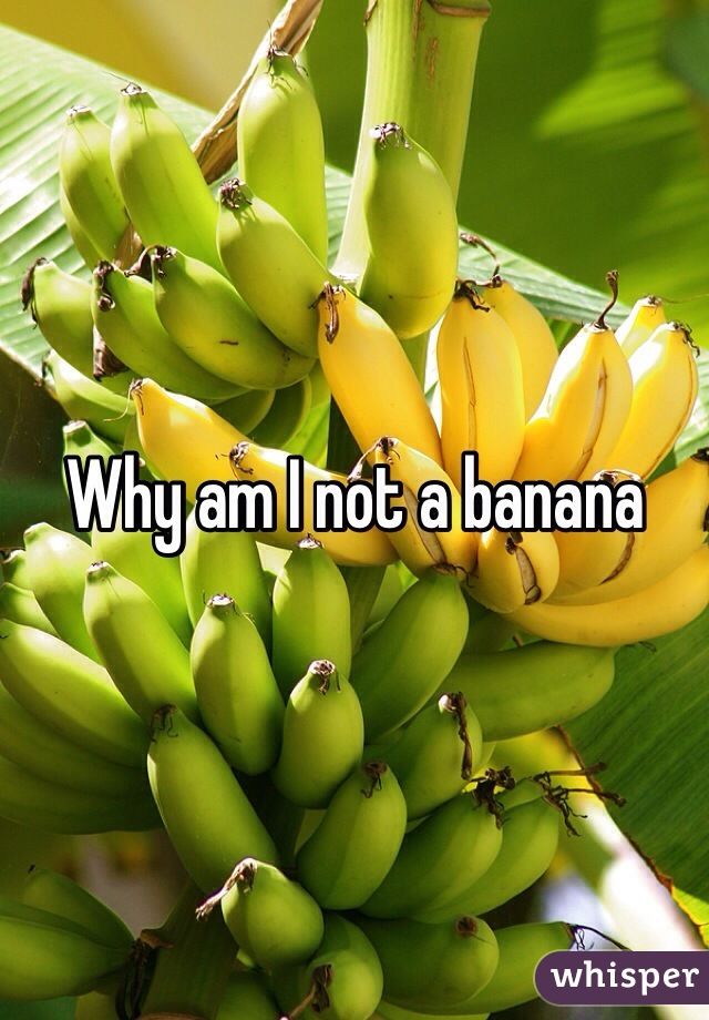 Why am I not a banana