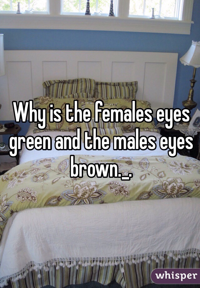 Why is the females eyes green and the males eyes brown._.