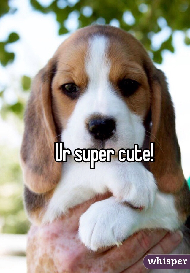 Ur super cute!