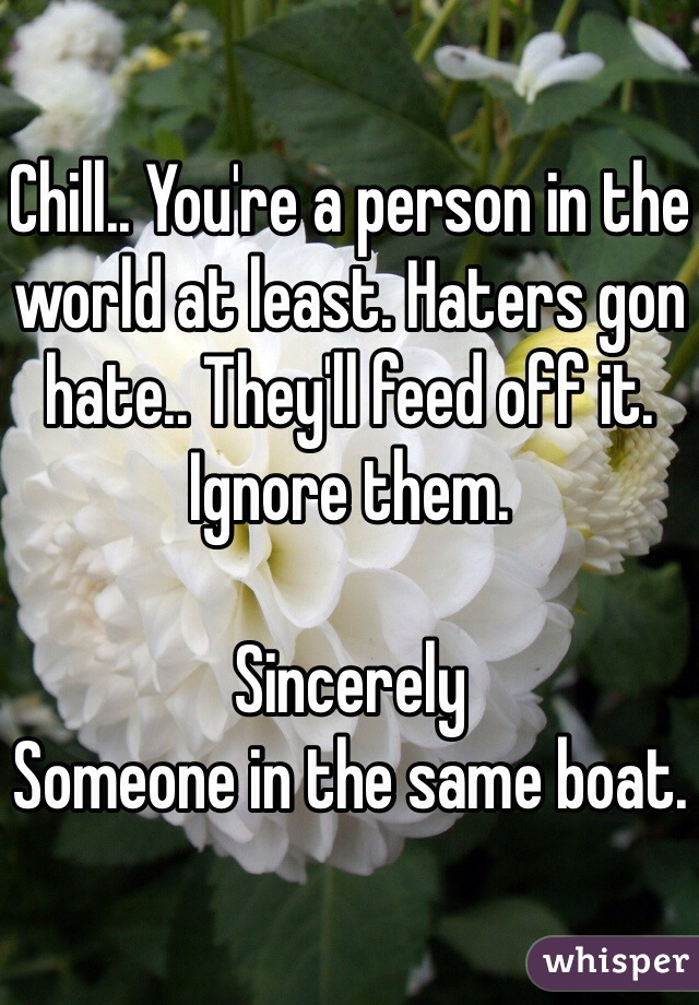 Chill.. You're a person in the world at least. Haters gon hate.. They'll feed off it. Ignore them.

Sincerely
Someone in the same boat. 