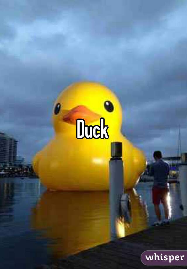 Duck