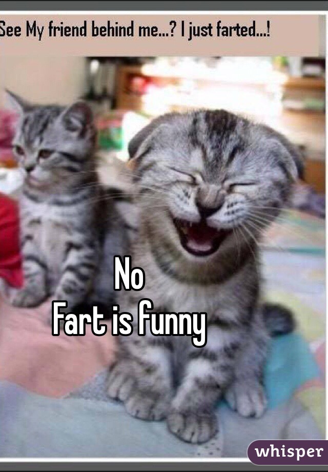 No
Fart is funny