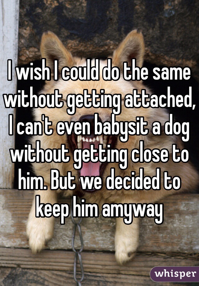I wish I could do the same without getting attached, I can't even babysit a dog without getting close to him. But we decided to keep him amyway