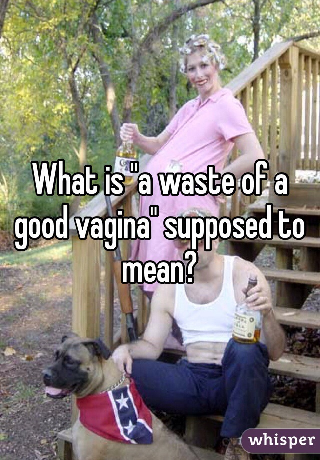 What is "a waste of a good vagina" supposed to mean? 