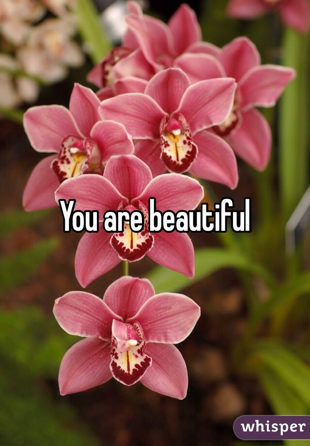 You are beautiful 