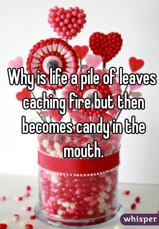 Why is life a pile of leaves caching fire but then becomes candy in the mouth.