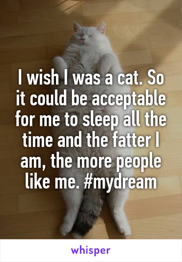 I wish I was a cat. So it could be acceptable for me to sleep all the time and the fatter I am, the more people like me. #mydream