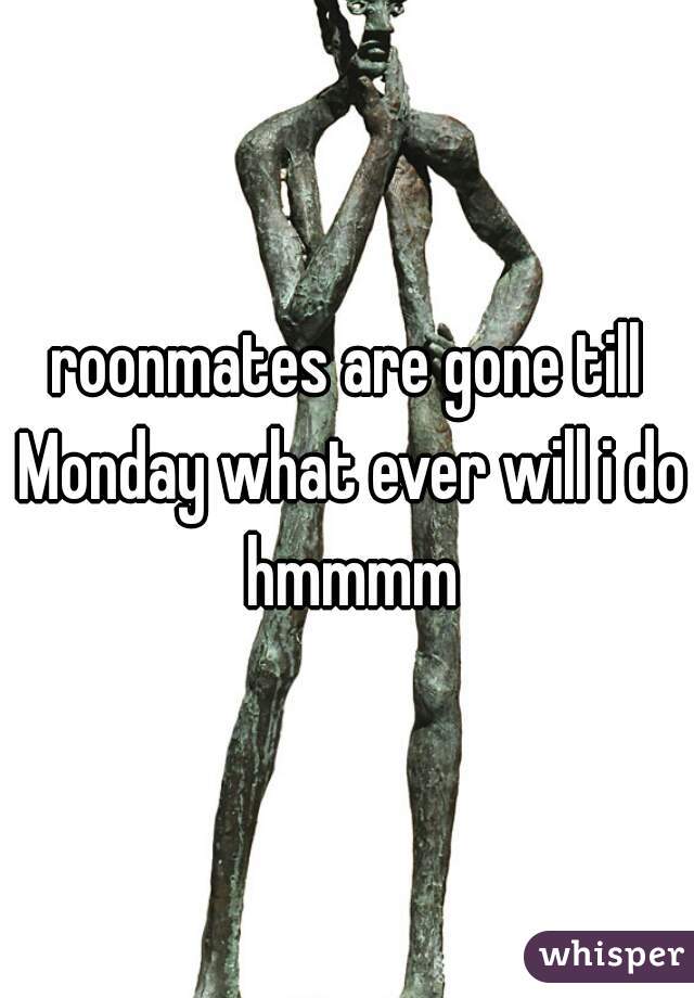 roonmates are gone till Monday what ever will i do hmmmm