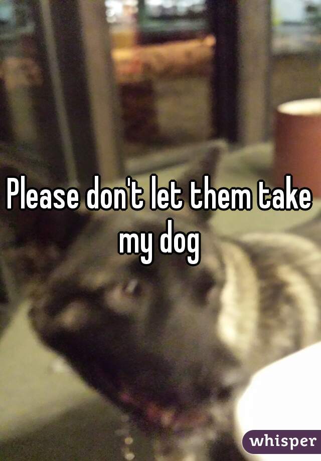 Please don't let them take my dog 
