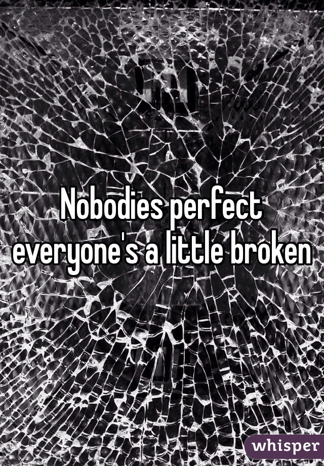 Nobodies perfect everyone's a little broken