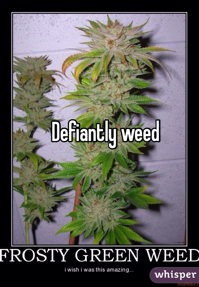 Defiantly weed 