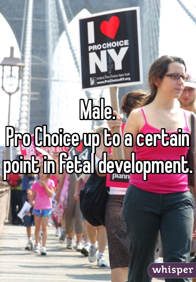 Male. 
Pro Choice up to a certain point in fetal development. 