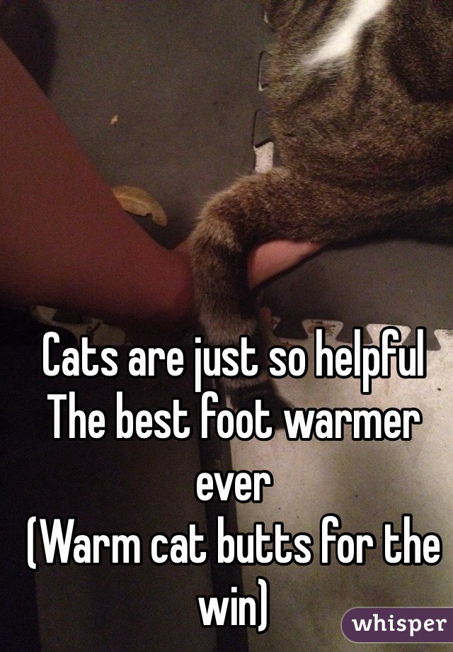 Cats are just so helpful 
The best foot warmer ever 
(Warm cat butts for the win) 