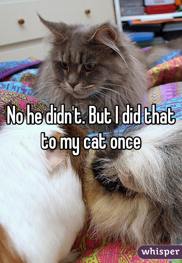 No he didn't. But I did that to my cat once