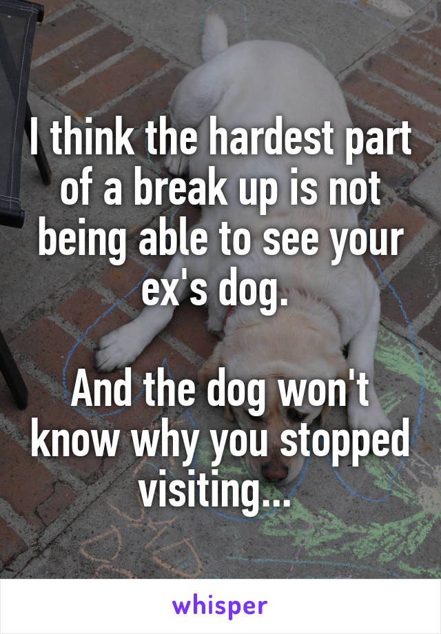 I think the hardest part of a break up is not being able to see your ex's dog. 

And the dog won't know why you stopped visiting... 